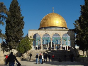 402120_184844671624496_787229924_n