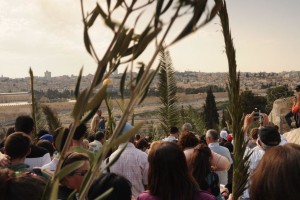 TOPO DO MONTE DAS OLIVEIRAS.